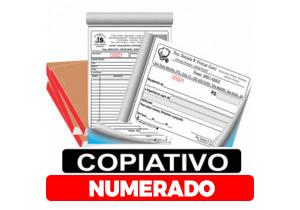 TALÃO 2 VIAS - 50X2 - COPIATIVO E NUMERADO Off-set 56gr 14x20  NUMERADO 1x0 Sem Verniz Numeração, Picote , Cola e Grampo 